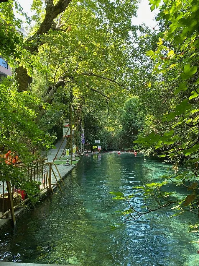 Yuvarlakcay Cinar Butik Otel Koycegiz